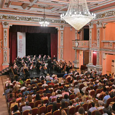 About Allegra Festival